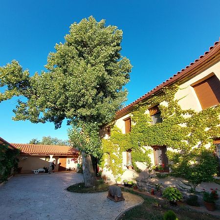Casa Atenea Замора Екстериор снимка